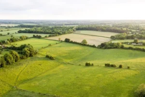 Gnarwarre